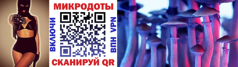 Купить  Обоянь  Галлюциногенные грибы GOLDEN TEACHER 